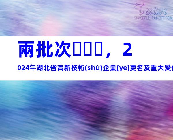 兩批次，2024年湖北省高新技術(shù)企業(yè)更名及重大變化申報(bào)時(shí)間、材料合集